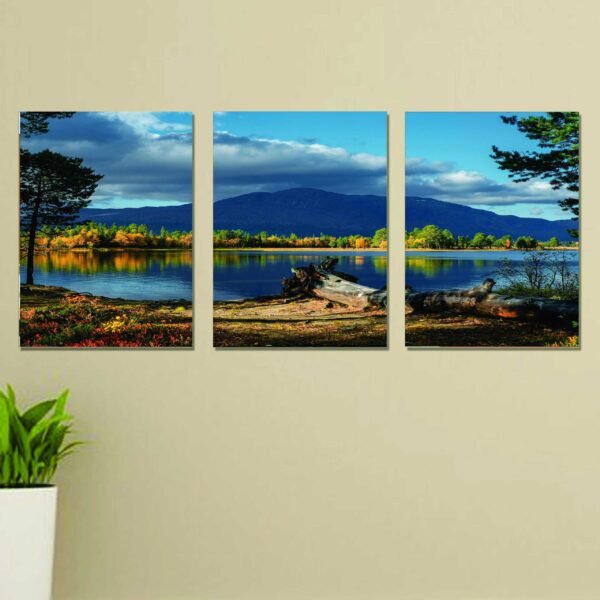 Set of 3 nature wall art phototile frame