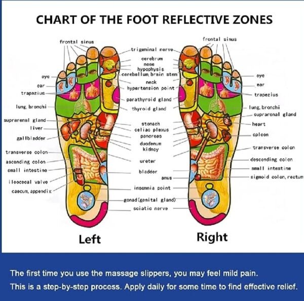Blueidea Acupressure Massage Slippers for Sugar Patients ? Foot Therapy Reflexology Sandals with Acupuncture Points & Non-Slip Sole