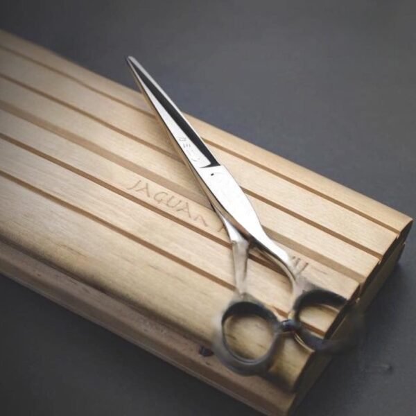 01 PCs - Premium Quality Stainless Steel Scissors ? Sharp, Rust-Resistant, Multipurpose Cutting Tool for Home, Office & Craft Use | Premium Scissors?